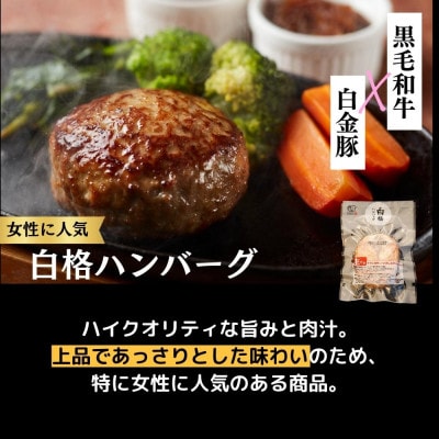 3種の格之進ハンバーグ 120g(各3個)計9個プレミアム 高級 国産 牛肉 白金豚