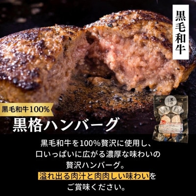 3種の格之進ハンバーグ 120g(各3個)計9個プレミアム 高級 国産 牛肉 白金豚