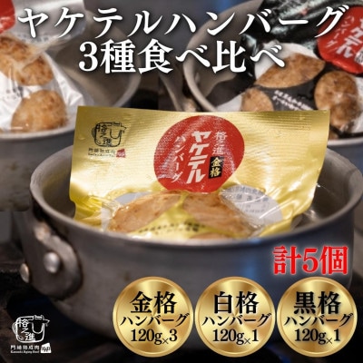 時短ヤケテルハンバーグ3種セット 120g(金格3個・白格1個・黒格1個) 計5個　レトルト