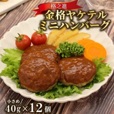 《格之進》金格ヤケテル 焼成済みミニハンバーグ 40g×12個(4個入り×3パック)