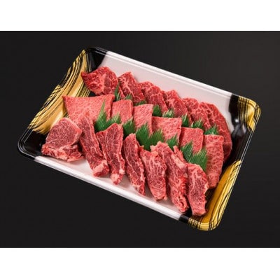 《格之進》門崎熟成肉 焼肉おもてなしセット500g+牛醤1本