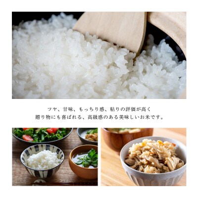 令和6年産 須藤家秘伝米 5kg【白米】　