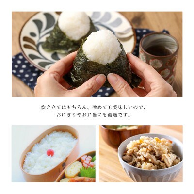 【毎月定期便】もっちり甘い!ひとめぼれ5kg【無洗米】全6回