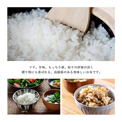 【毎月定期便】須藤家秘伝米5kg【3分搗】全6回