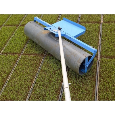 低農薬栽培ひとめぼれ5kg
