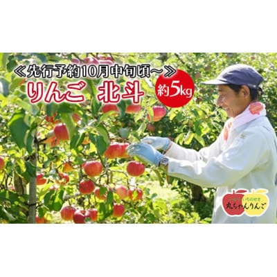 家庭用 りんご 北斗 約5kg ≪先行受付10月中旬頃~順次発送≫