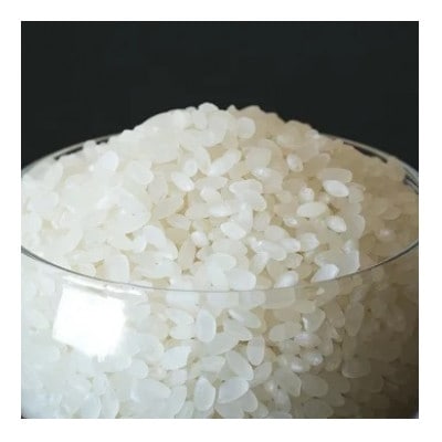 門崎めだか米 精米 10kg(特別栽培米)