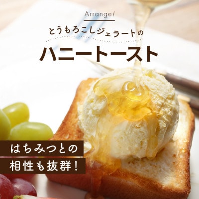 とうもろこしアイス 90ml×5個セット 山小屋ジェラート「君と、とうもろこし」