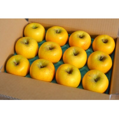 【ギフト同等品質】蔵出しシナノゴールド　約3kg