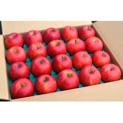 樹上完熟ふじ 約5kg