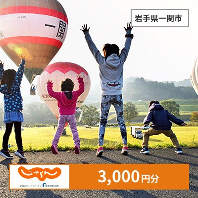 【じゃらんふるさと納税クーポン】 岩手県一関市でつかえる3,000円 クーポン