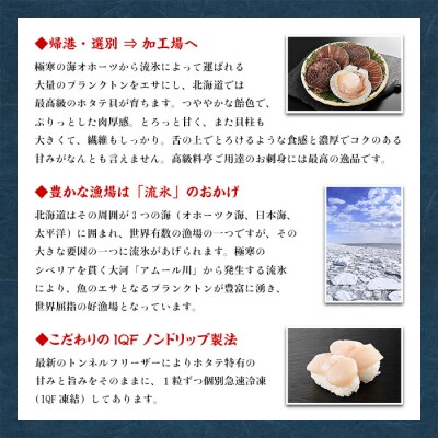 【訳あり】ほたて貝柱 1kg【欠け/サイズ不揃い】