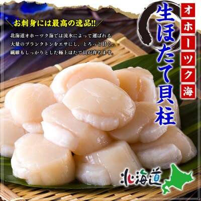 ほたて貝柱 中型サイズ 1kg