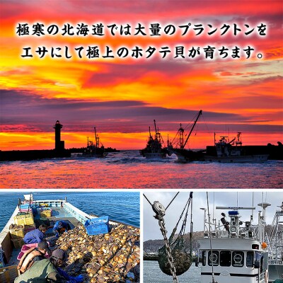 ほたて貝柱 中型サイズ 1kg