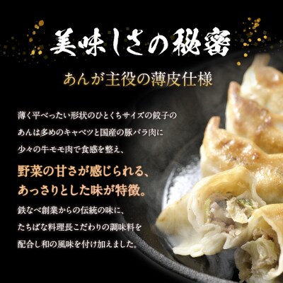 本店鉄なべ×割烹たちばな 餃子セット48個(オリジナル・しそ各24個)