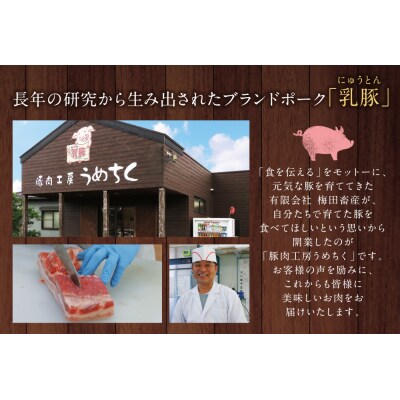 乳豚まんぞくセット(切り落とし・ミンチ計2kg)