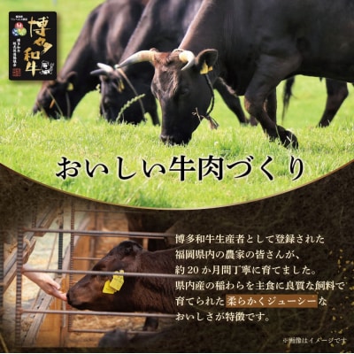 博多和牛 生ハンバーグ 5個セット