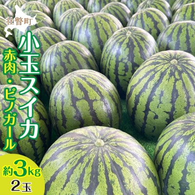 <2025年8月上旬より順次お届け>小玉すいか(赤肉・ピノガール)2玉約3kg SBTN004