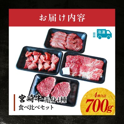 宮崎牛 赤身4種セット700g