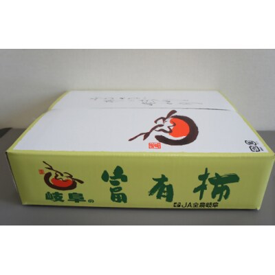 【高島屋コラボ企画】〈サラダファイブ〉岐阜県産 富有柿 秀 3Lx10玉または2Lx12玉