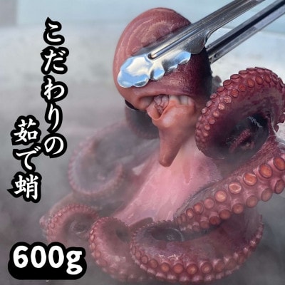 こだわりの塩ゆで蛸600g(CAS冷凍・篠島産)タコしゃぶ、たこ焼き、おせち、酒のつまみ(肴)に!