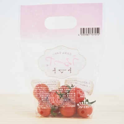 うるつやトマト　160g　5パック入