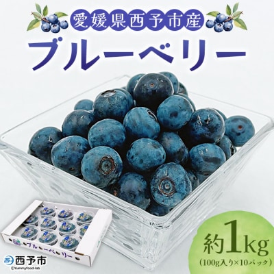 <愛媛県西予市産 ブルーベリー 約1kg(100g入り×10パック)> ぶるーべりー 果実 果物