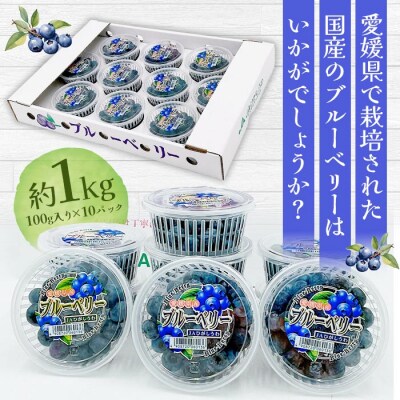 <愛媛県西予市産 ブルーベリー 約1kg(100g入り×10パック)> ぶるーべりー 果実 果物