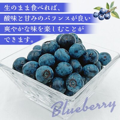 <愛媛県西予市産 ブルーベリー 約1kg(100g入り×10パック)> ぶるーべりー 果実 果物
