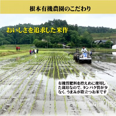 【令和6年産】JAS有機米 コシヒカリ・天のつぶ 食べ比べセット白米【3005501】