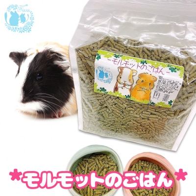 fuu うまうまセレクション モルモットのごはん(5kg) [145S93]