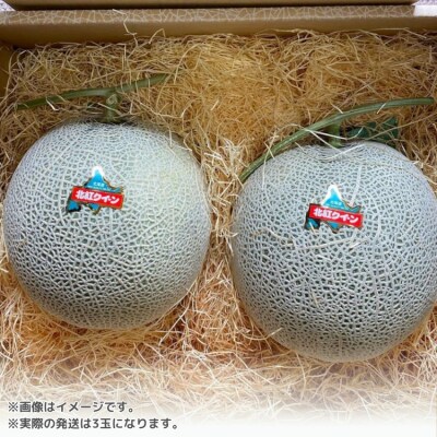 <2025年7月上旬よりお届け>赤肉メロン(北紅クイーン)3玉入り 約5kg以上 SBTP005