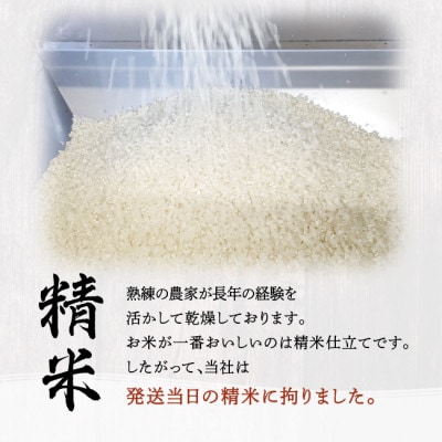 會津特選米 松平(会津若松市産コシヒカリ) 精米(無洗米) 10kg