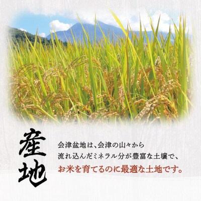 會津特選米 松平(会津若松市産コシヒカリ) 上白米 3kg