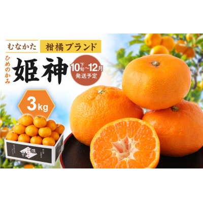むなかたブランド「姫神」3kg 【2025年10月下旬～12月発送】【ほたるの里】_HA1346