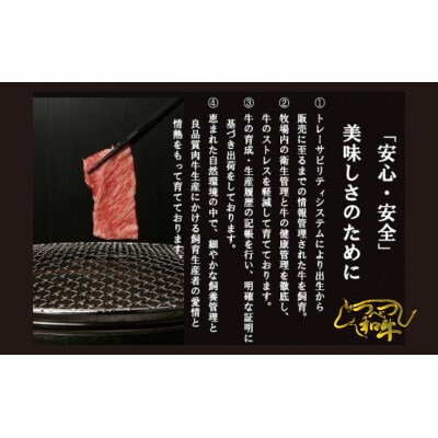 訳あり　つべつ和牛　切り落とし　1,000g(500g×2パック)/015-13342-a01F