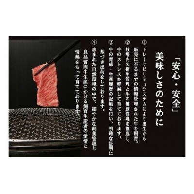訳あり　つべつ和牛　切り落とし　500g/008-13343-a01F