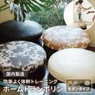 ホームトランポリン モダンタイプ 未来航路 クッション インテリア [AAB010]