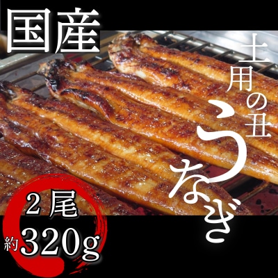 【2週間配送】 国産 うなぎ 蒲焼 2尾(約320g)冷蔵