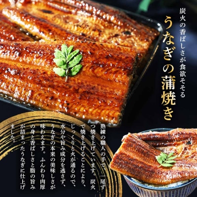 【四国一小さなまち】ヤマシン特選うなぎの蒲焼き 1尾+白焼き 1尾セット