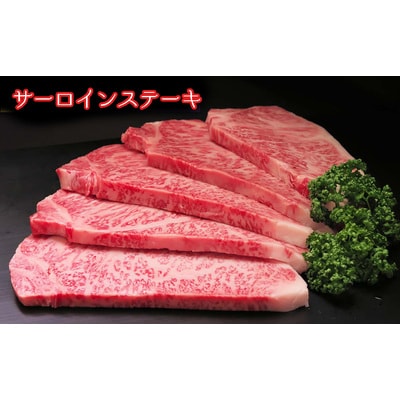 【佐賀牛プレミアム】ヒレシャトーブリアンなどオススメ3点セット【定期便5回】 (H065140)