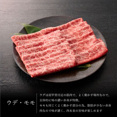 佐賀牛 肩ロース500g & ウデ・モモスライス500g セット(合計1kg)(H065143)