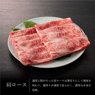 佐賀牛 肩ロース500g & ウデ・モモスライス500g セット(合計1kg)(H065143)