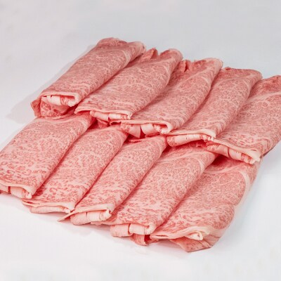【佐賀牛】肩ローススライス500g 隔月定期便6回(H065200)