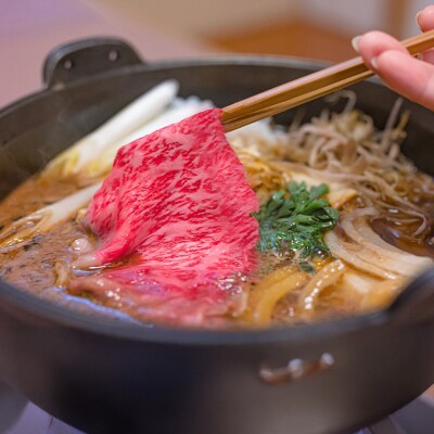【佐賀牛】肩・もも切り落とし500g 5カ月定期便(H065186)