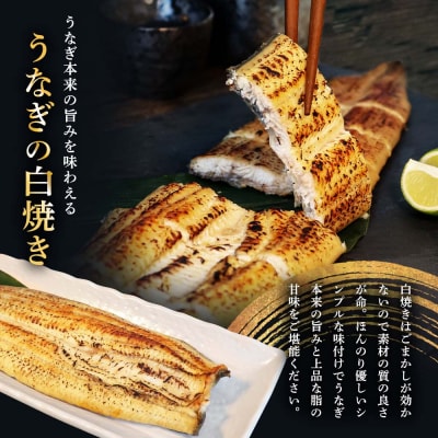 【四国一小さなまち】ヤマシン特選うなぎの蒲焼き3尾+白焼き3尾入り(特製タレ付き) 