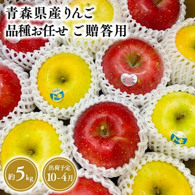 品種お任せ　贈答用　旬のりんご詰め合わせ5kg