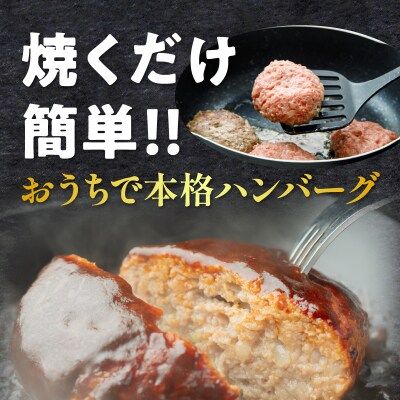 ≪3か月定期便≫宮崎県産豚プレミアムハンバーグ_T001-0171