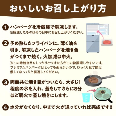 ≪3か月定期便≫宮崎県産豚プレミアムハンバーグ_T001-0171