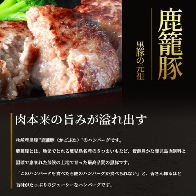枕崎産黒豚 鹿籠豚ハンバーグ6個セット A6-4